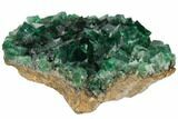 Fluorite Crystal Cluster - Rogerley Mine #132990-1